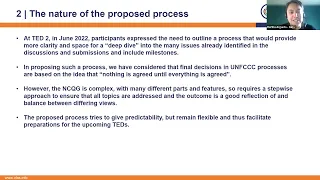 Online seminar: Process Proposal for Defining the New Collective Quantified Goal (NCQG)