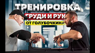 Тренировка груди и рук от Голубочкина