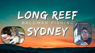 Long Reef Sydney: Kingfish and Reef Fish - BaldMan Fishing