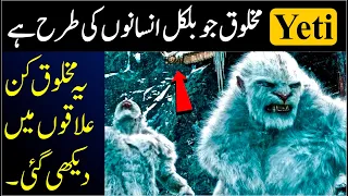 | The Crazed Hunt for the Himalayan Yeti | Monstrum | Vital story