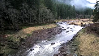 The Hemlock Dam Removal Story - Columbia Basin Restoration