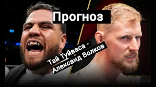 Прогноз на бой Тай Туйваса - Александр Волков.