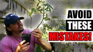 6 Tomato Mistakes To Avoid - Garden Quickie Episode 144