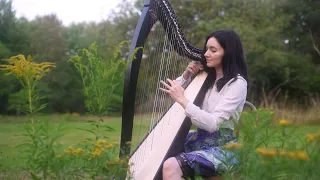 What a Wonderful World  |  Louis Armstrong (Harp Cover)