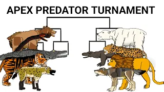 Apex predator turnament animation —all animation