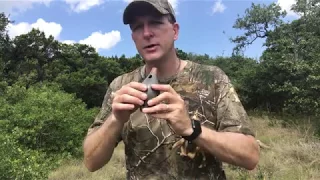 Dove Game Call - Comparing Different Dove Calls