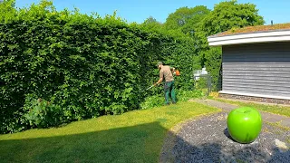 I WAS WRONG In Thinking That Trimming An OVERGROWN Beech Hedge Would Only Take TWO HOURS