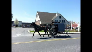 Lancaster County Bird in Hand 2023 Carriage &Antique Amish Auction