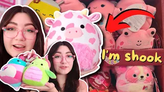 squishmallow hunting for VDAY ISOs + my BEST HAUL EVER
