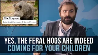 Yes, The Feral Hogs Are Indeed Coming For Your Children - SOME BOAR NEWS