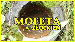 Mofeta w Złockiem - Polska