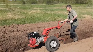 Мотоблок МТЗ Беларус-пашет сам! Вспашка земли, работа с плугом! 30.04.2023