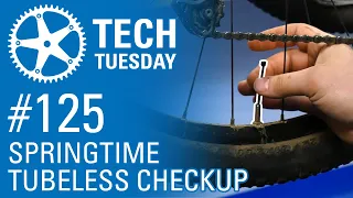 Springtime Tubeless Checkup | Tech Tuesday #125
