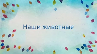 Конно-спортивная школа Тулпар