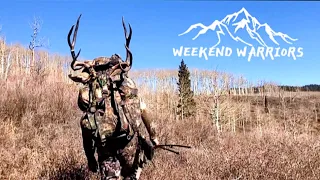DIY Colorado Mule Deer Hunt | Public Land Hunting [Savage 110 High Country 300 Win Mag]