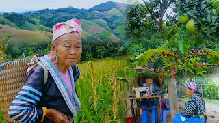 TRAVELS VISITING HMONG VILLAGES IN VIETNAM #205, 9/2020