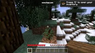 Minecraft Let's Play (Nackt)