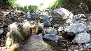 Relaxing Waters of Bogart Park