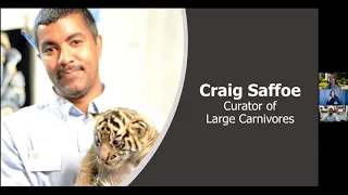 UnZOOsual Careers: Large Carnivore Curator