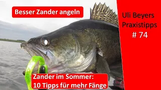 Zander Angeln: 10 Tipps für Zander im Juni und Sommer