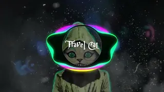 CBo Nan  - Travel Cat