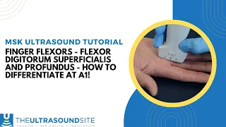 Finger flexors - flexor digitorum superficialis and profundus - how to differentiate at A1!