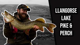 Llangorse Lake Pike Fishing