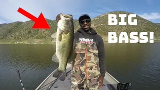 Catching Big Bass On Big Swimbaits Is Too Much Fun!