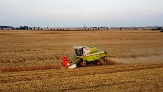 Żniwa Pszenicy 2021 😍 Claas & Deutz Fahr w Akcji 🔥 Łódzkie