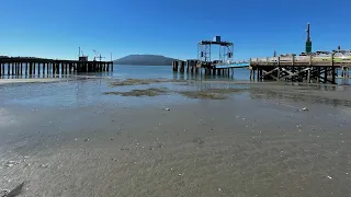 Lummi Island and The San Juans