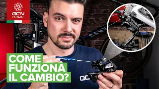 Come funziona il deragliatore posteriore? | Manutenzione base per bici fai da te