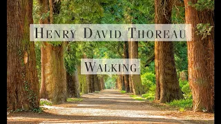 Henry David Thoreau - Walking