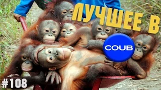 Лучшие Приколы в Coub #108  Яблочко   калинка!