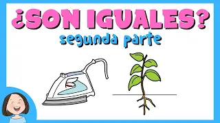 ¿Son iguales? | Segunda parte