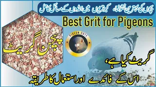 Grit for Pigeon | Soil Grit For Pigeon | Best Grit for Racer Pigeon and Homer Pigeon | Pigeon cote