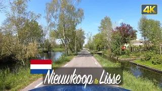 Driving from Nieuwkoop to the Keukenhof in Lisse, Netherlands 🇳🇱