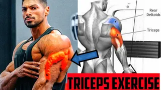 4 SIMPLE TRICEPS EXERCISE AT GYM ANDREI DEIU TRICEPS WORKOUT 💢 UNIVERSE FITNESS #universefitness