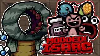 BECOMING OP AS THE HOLLOW!! - Modded Binding of Isaac Repentance - Part 156