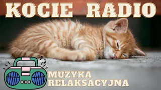 KOCIE RADIO - muzyka relaksacyjna dla kota, kotków, kotów. Twój kot szybko zaśnie, przy tej muzyce