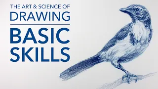 The Art & Science of Drawing / Basic Skills