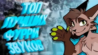 ТОП ЛУЧШИХ ФУРРИ ЗВУКОВ (feat. @prussian_mouse, @NavaMythical, @lemithecat)