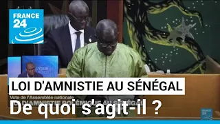 Projet de loi d'amnistie polémique au Sénégal : de quoi s'agit-il ? • FRANCE 24