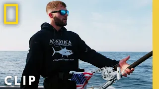 Fighting Fish on the Stand Up Rod | Wicked Tuna | National Geographic