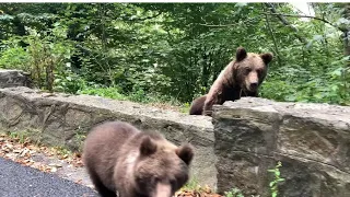 Am trecut Carpații. Cum a fost