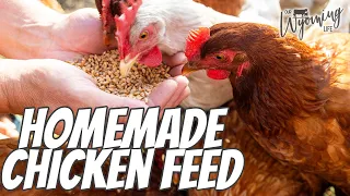 Quick and Easy Chicken Feed for Any Size Farm