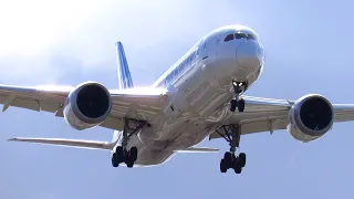 Planespotting at Madrid Barajas Airport: A330 & 787 Heaven | Overhead Landings | Runway 32L