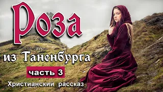 📍ОЧЕНЬ интересный рассказ - Роза из Таненбурга, часть 3