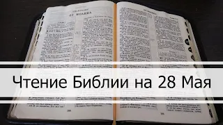 Чтение Библии на 28 Мая: Псалом 147, Евангелие от Иоанна 7, 2 Книга Царств 21, 22
