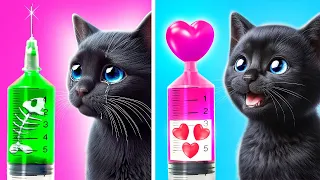 Oh No😿 Save This Tiny Kitten! *Gadgets and Hacks for Pets*