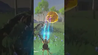 SMASHING the Great Plateau Lynel